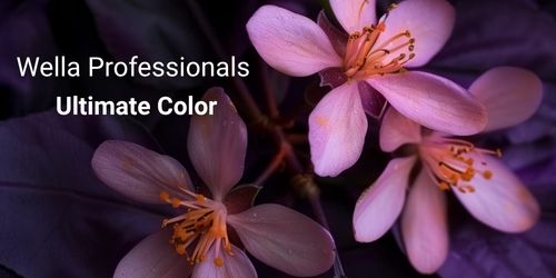 Profesjonalna piel�gnacja Wella Professionals Ultimate Color: Klucz do trwa�ego koloru i zdrowych w�os�w!